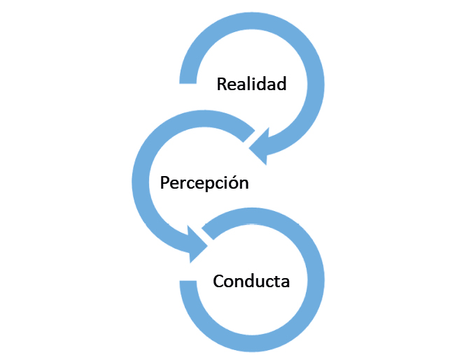 Imagen13654.PNG