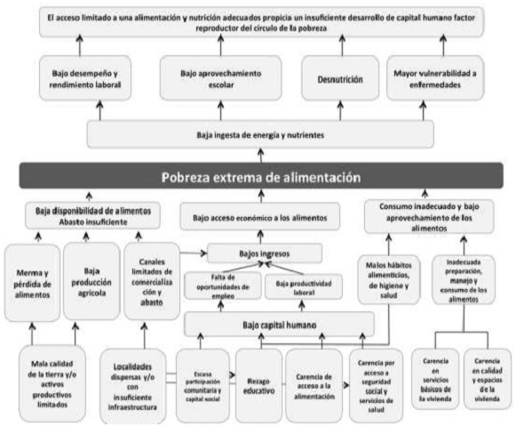 Esquema 2. Árbol de problemas PNMsH