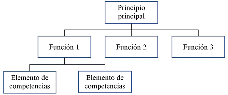 Figura 1. Representación estructural de un mapa funcional