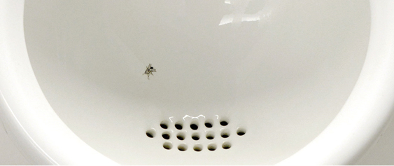 Imagen 1. Ejemplo de acicate en un baño masculino
