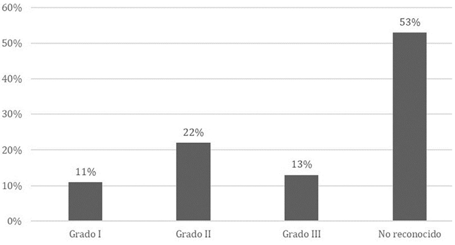 Gráfico 4. Personas dependientes atendidas
